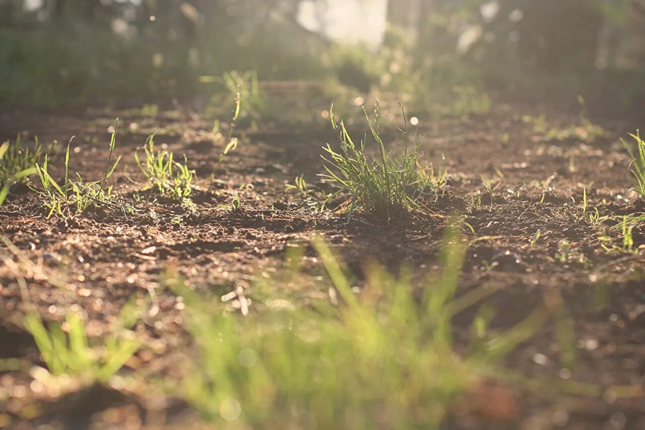 Ground