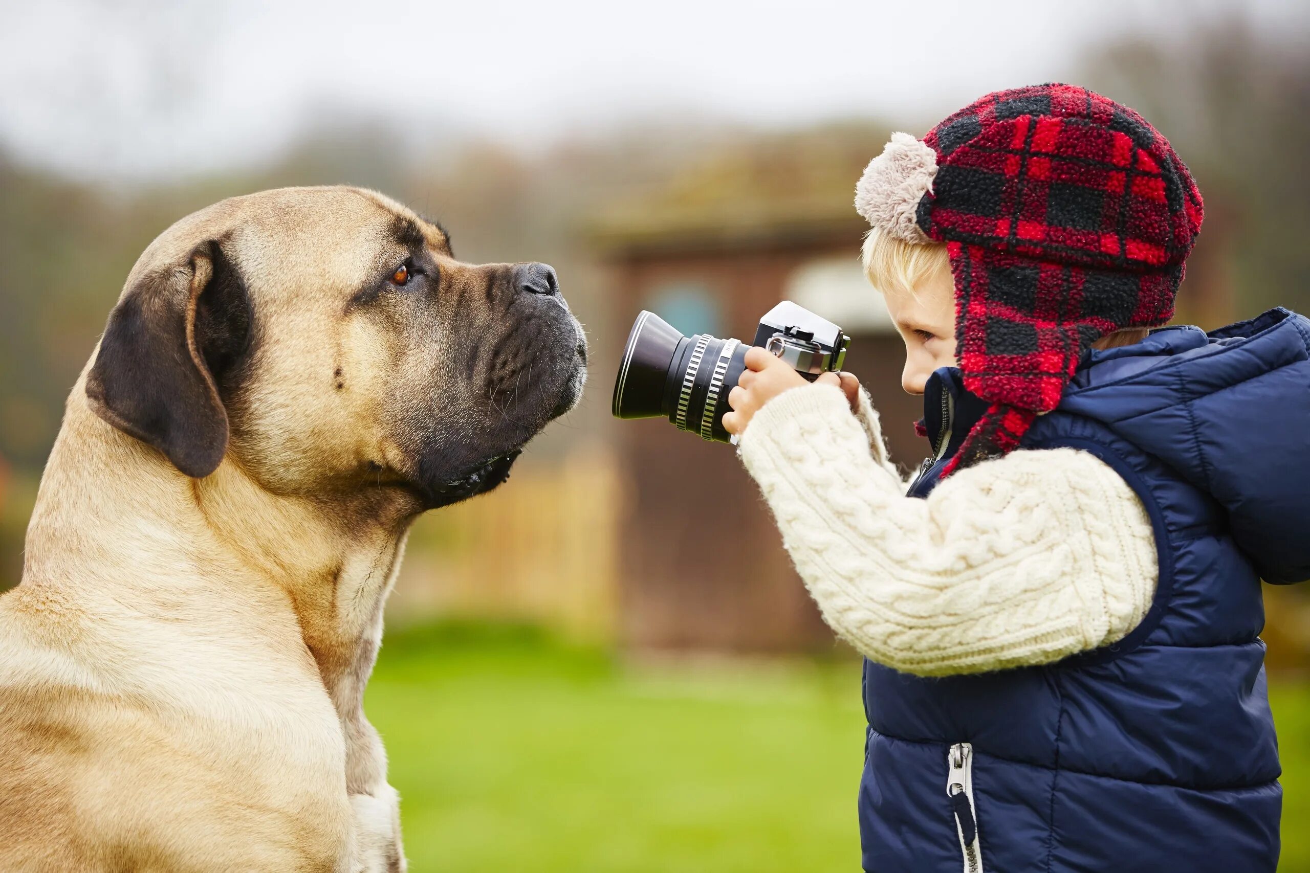 Photo pet. Собака с фотоаппаратом. Фотограф собак. Фотограф фотографирует собаку. Фотоконкурс собак.