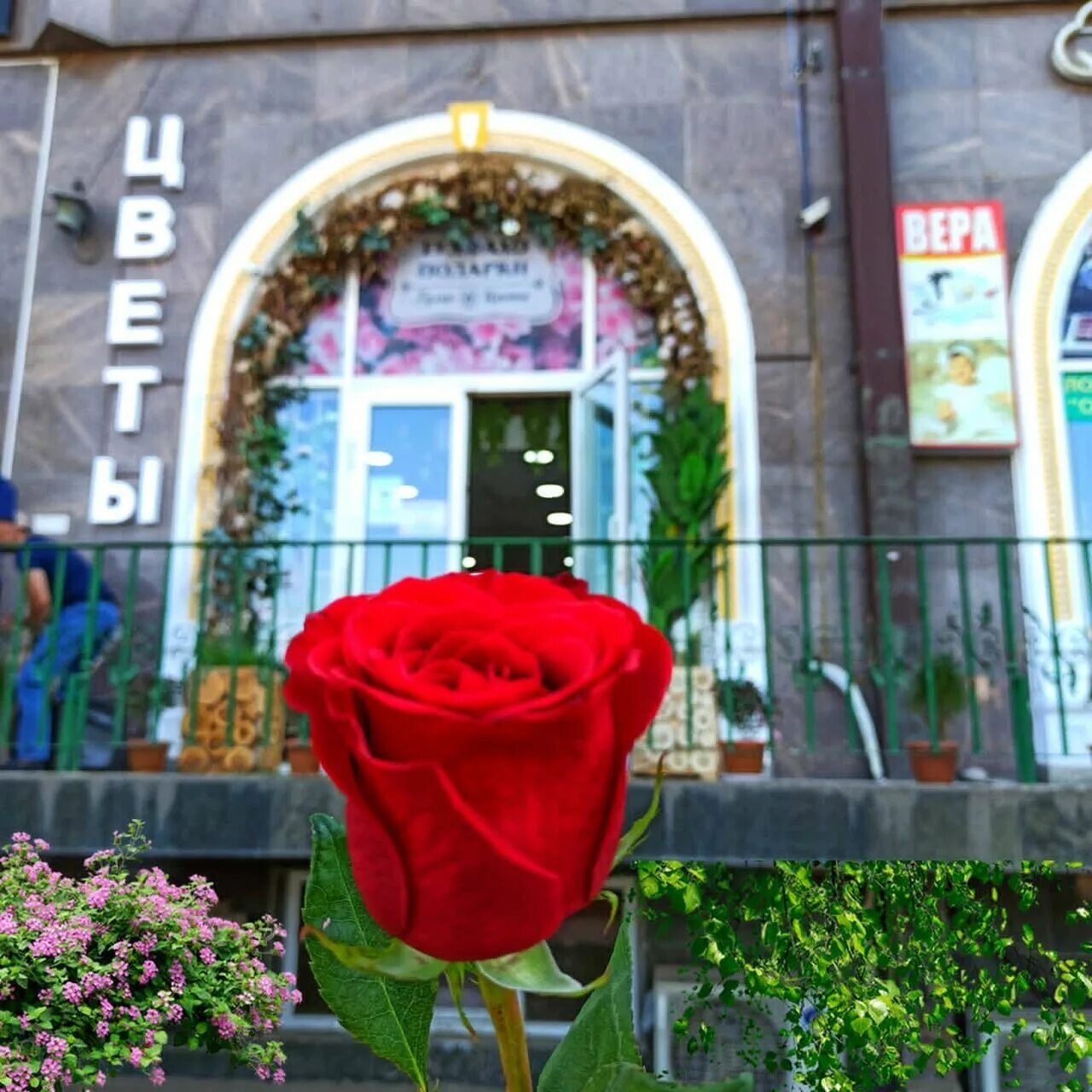 Цветы душанбе. Магазин цветов в Душанбе. Душанбе в цветах. Букет цветов в Душанбе.