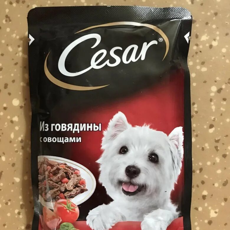 Корм Кесар для собак. Caesar корм для собак. Корм для собак казань