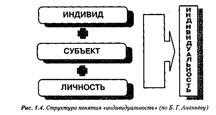 Соотношение понятий индивид субъект личность индивидуальность. Структура понятия «индивид» (по б. г. Ананьеву). 1. Соотношение понятий индивид, субъект, личность и индивидуальность.. Схема человек индивид личность. Структура личности индивид личность индивидуальность.