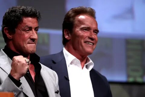Сталлоне и шварценеггер