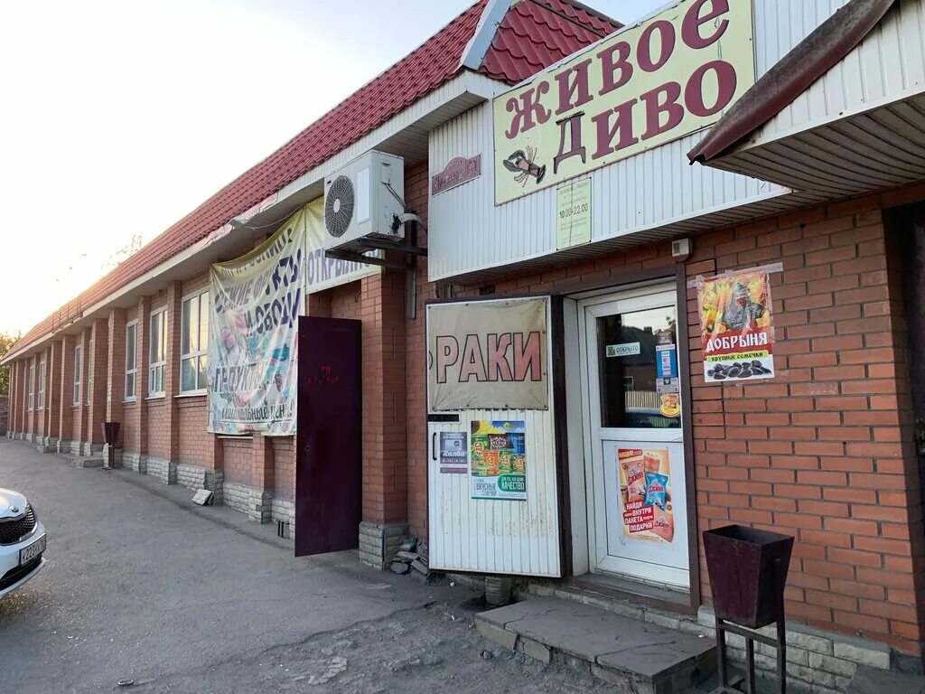 администрация города новошахтинска сотрудники. виктор. 61 новошахтинск. новошахтинск техникум автомеханик. автошкола в новошахтинске 61 регион набор.