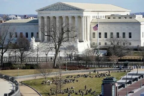 The president court