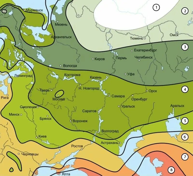 Любом климатической зоне. Зона морозостойкости USDA: 6. Карта зон зимостойкости России. Климатические зоны России USDA 1 2 3 4 5 6. Карта зон морозостойкости России по USDA.