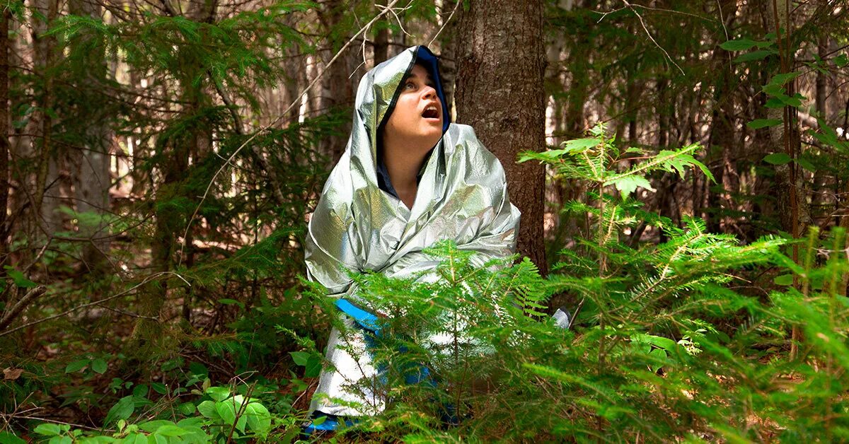 Заблудившиеся в лесу 4. Заблудился в лесу. Девочка в лесу. Заблудший в лесу. Саня сырой лес.