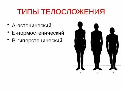 Показатели телосложения характеризуют уровень