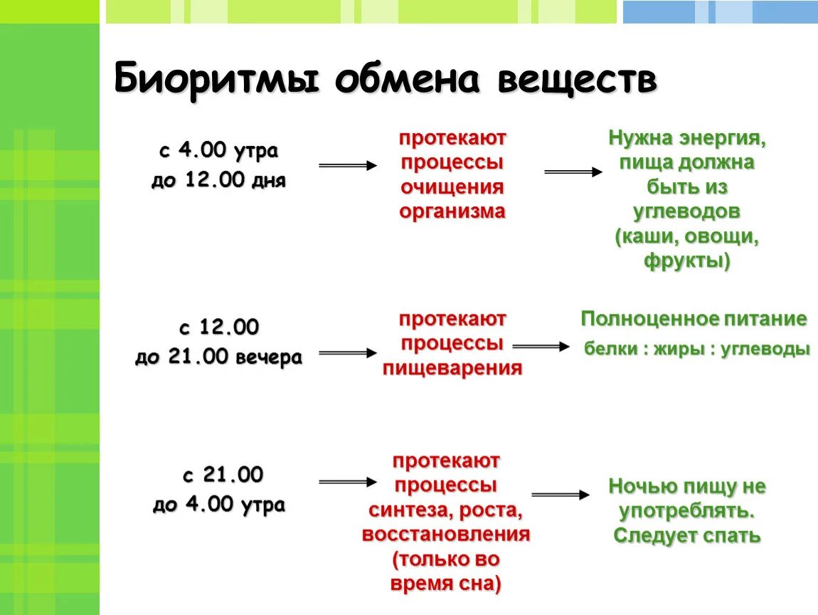 Биоритмы дня человека