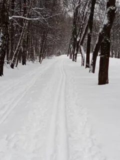 Лыжная трасса измайлово