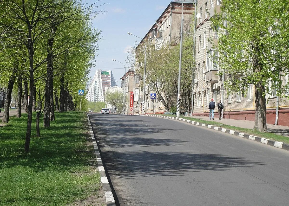 Обыкновенная улица. Улица ремизова москва. ремизова 9. ремизова 4 москва.