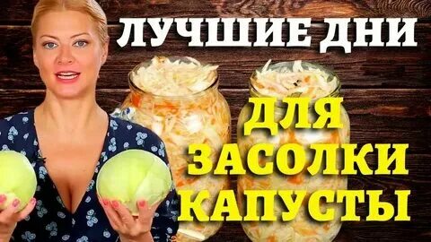 Иллюстрации к дню 29 января Владимир Басалаев Ежедневные Иллюстрации Дзен