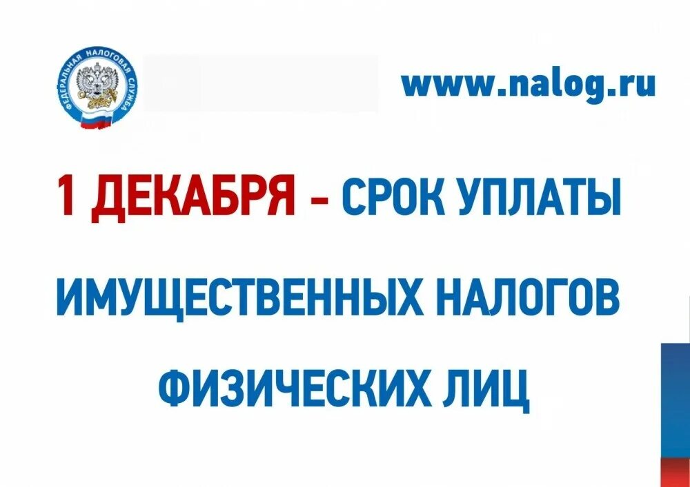 Вниманию физических лиц. Срок уплаты имущественных налогов. Декабря срок уплаты имущественных налогов. 1 Декабря истекает срок уплаты имущественных налогов. Имущественные налоги физических лиц.