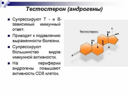 Андрогены это