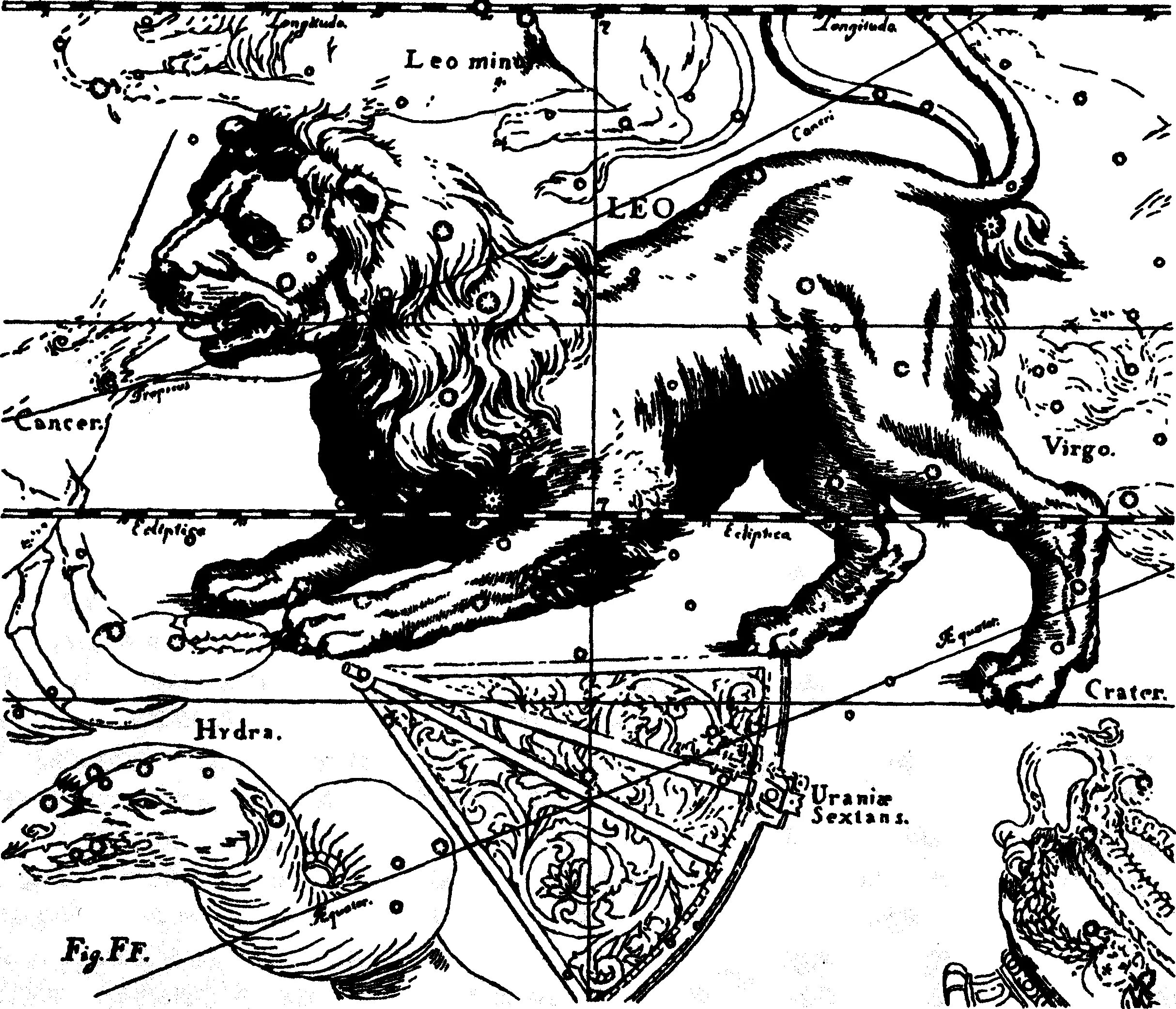 Созвездие Лев гевелий. Созвездие Льва древний Египет. Атлас Гевелия Лев. Лев (Созвездие) миф Египет.