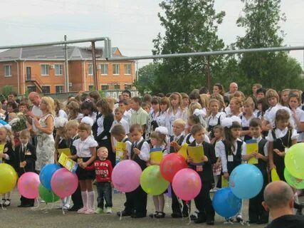Школа 2011 отзывы
