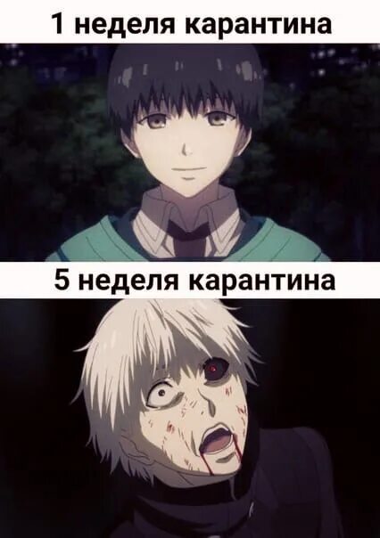 Токийский гуль мемы. Токийский гуль мемы. Мем аниме токийский гуль. Мемы про аниме токийский гуль. Токийский гуль приколы.