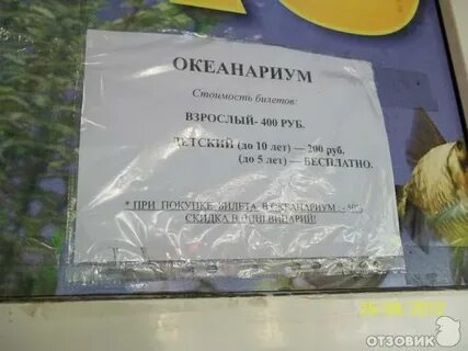Океанариум екатеринбург график работы