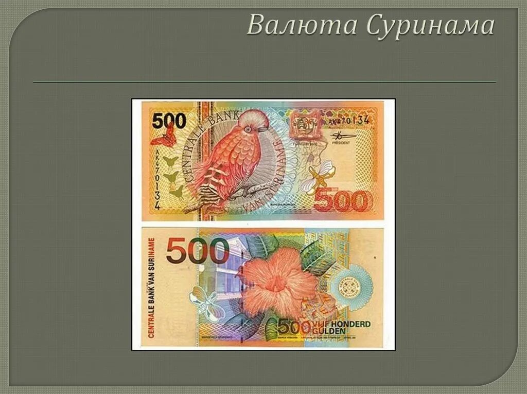 Самые необычные деньги в мире проект