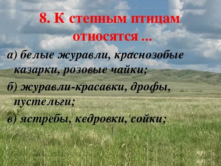 Проверочная работа по теме степи 4 класс