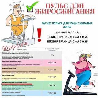 Сколько бегать чтобы сжечь жир