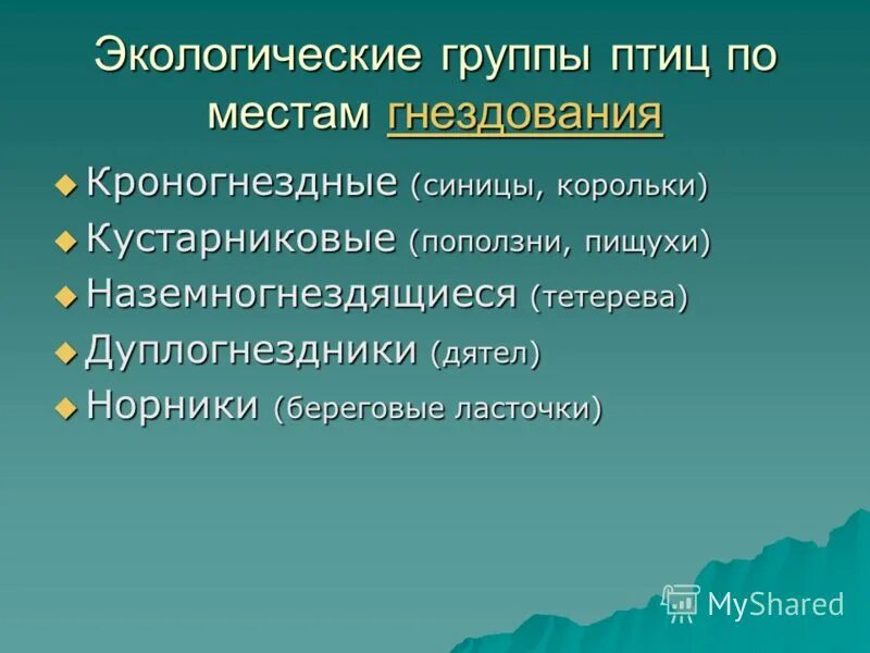 Экологические птицы представители. Экологические группы птиц. Экологические группы по местам гнездования. Группы птиц по местам гнездования. Классификация птиц по местам гнездования.