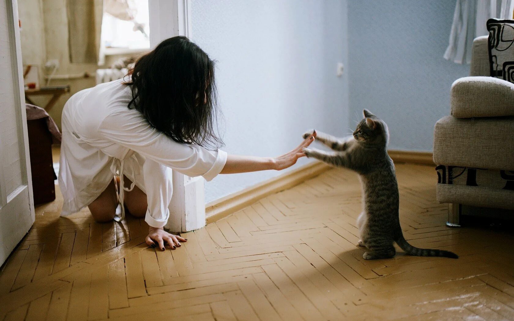 Котята играют на полу. Девушка кошка. Человек играющий с котом.