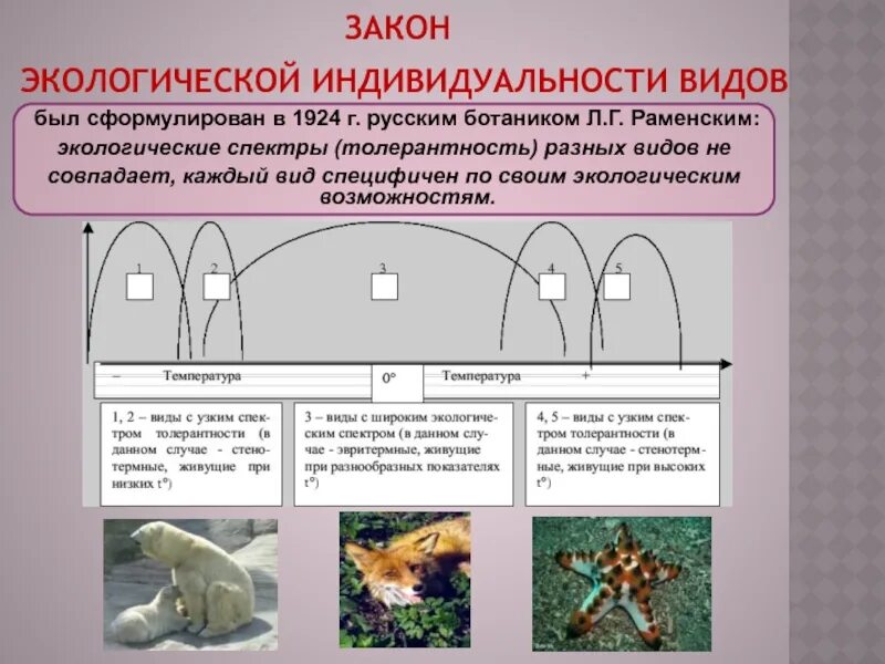 Закон экологического воздействия. Правило экологической индивидуальности Раменский 1924. Экологические законы. Основные экологические законы. Экологические законы биология.