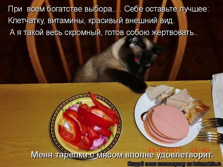 Кушать хочу говорю. Кот с колбасой. Кот ест колбасу. Люблю колбасу. Приколы про котов и колбасу открытки.