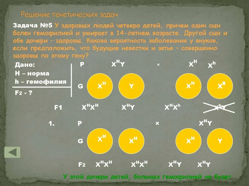 У здоровых родителей сын болен гемофилией определите. Генетические задачи. Решение генетических задач. Генетические задачи человека. Генетические задачи по болезням.