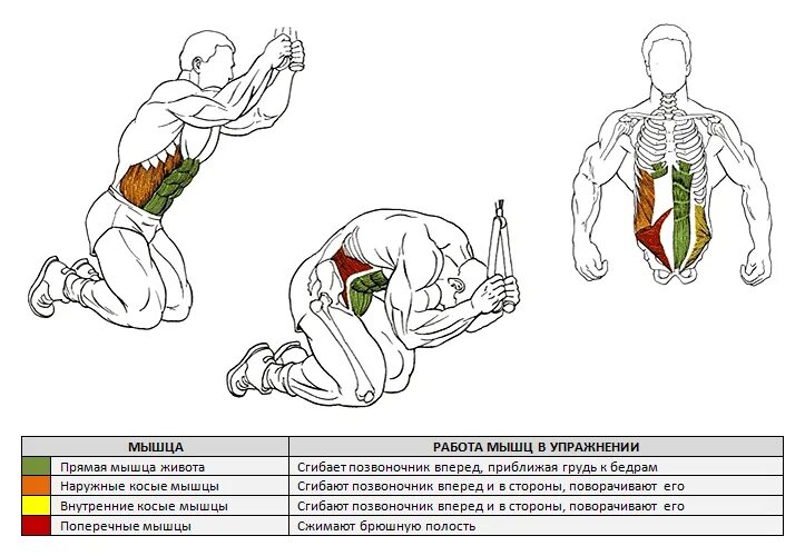 Поперечная мышца живота как накачать. Прокачка поперечной мышцы живота. Упражнения для прокачки косых мышц живота. Упражнения на косую мышцу живота. Упражнения на внутренние косые мышцы.