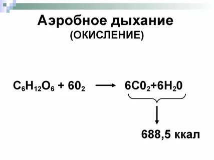 Химическое уравнение дыхания