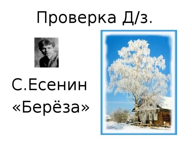 С а есенина береза текст. Есенин береза. стихотворение есенина береза. береза есенин текст. берёза есенин рисунок.