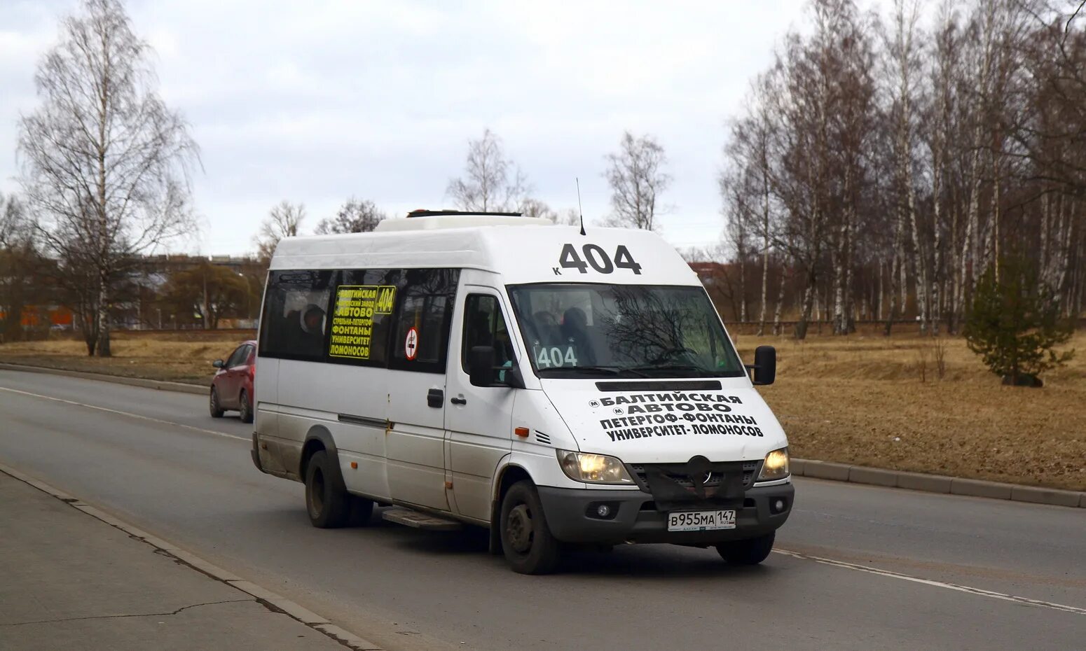 Золотой автобус спб. Спринтер Классик автобус. Маршрутки Санкт-Петербурга. 204 Автобус СПБ Петергоф. Санкт-Петербург маршрутка Мерседес.