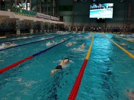 Сайт дворца водного спорта