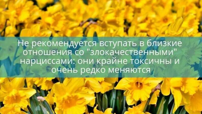 Нарцисс в отношениях с женщиной признаки. Нарцисс психология. Нарцисс человек психология. Неуверенный в себе Нарцисс. Женщины нарциссы психология.