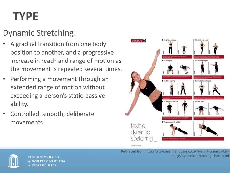 Динамик стретчинг. Dynamic stretch тренировка. ACSM тренировки. Что значит тренировка Dynamic stretching. Dynamic method