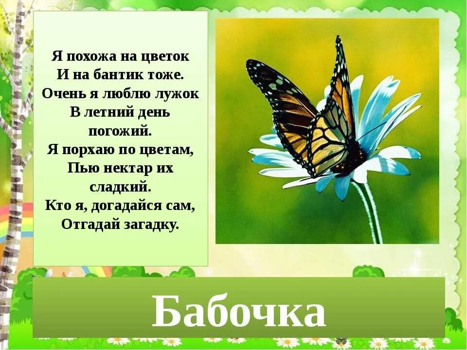 Стихи про бабочку для дошкольников. Стихи про мотылька для детей. Мотылек слова. Загадка про бабочку. Стишки про бабочку.