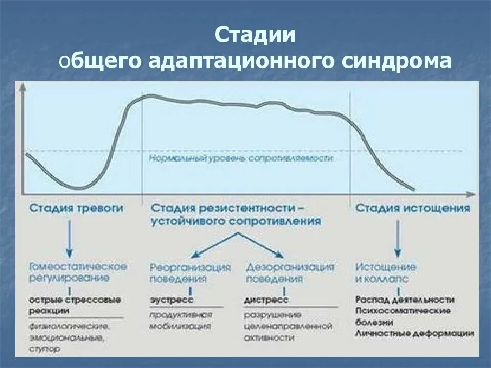 Характеристика стадий общего адаптационного синдрома при стрессе. 3 стадии общего адаптационного синдрома по г. Фазы общего адаптационного синдрома. Фазы развития общего адаптационного синдрома. Фазы общего адаптационного синдрома.