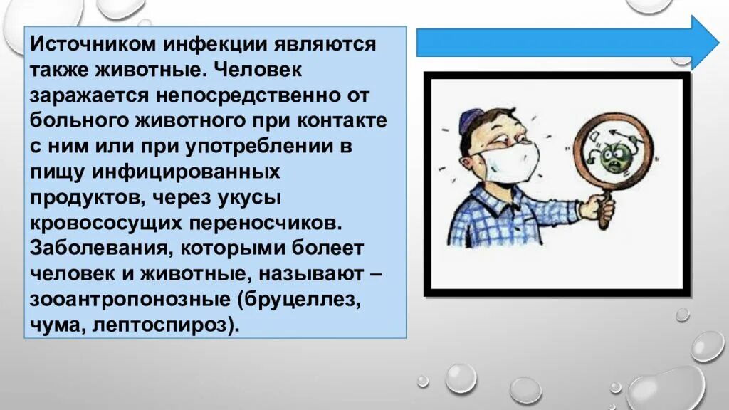Основные инфекционные заболевания и их профилактика обж. Основные инфекционные заболевания и их профилактика обж