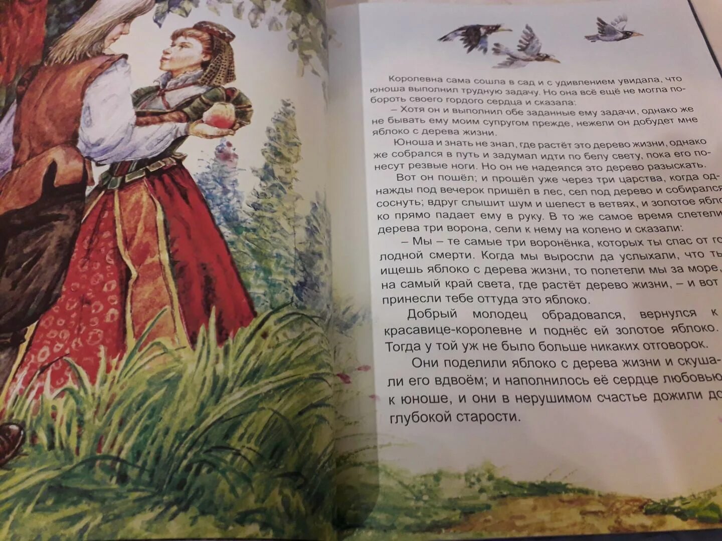 Книга сказочные истории. Коллекция детской классики книги вакоша. Книга волшебные сказки братьев гримм гримм. Волшебная книга братья гримм. Обложка книги золотой гусь братья гримм.