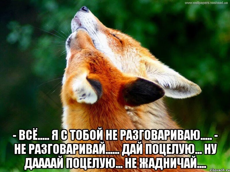 кофе в постель прикольные. любовь приходит и уходит а кушать хочется всегда картинки. белый клык. любовь приходит и уходит а куша. я с тобой не разговариваю я обиделась.