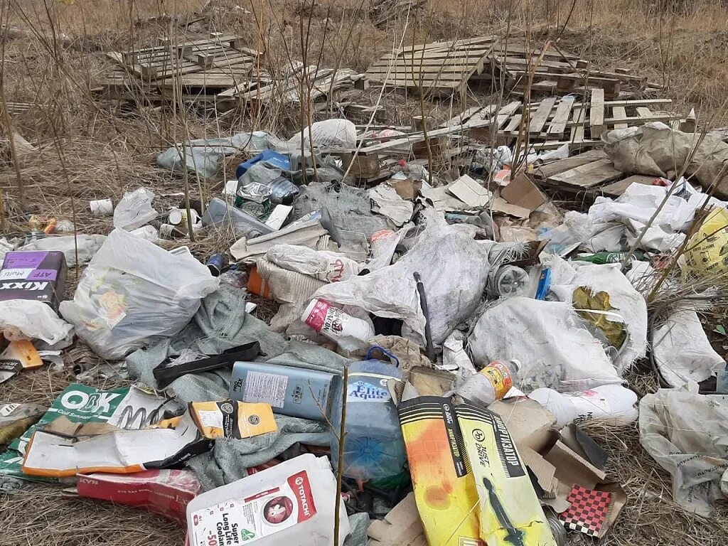 Ликвидация мест несанкционированного размещения отходов