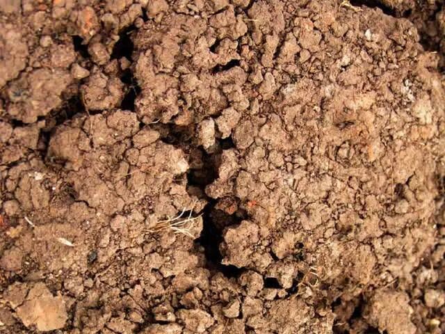 глинистые почвы можно. глина почва. глинистые почвы можно. глинистая супесь. песок супесь суглинок глина.