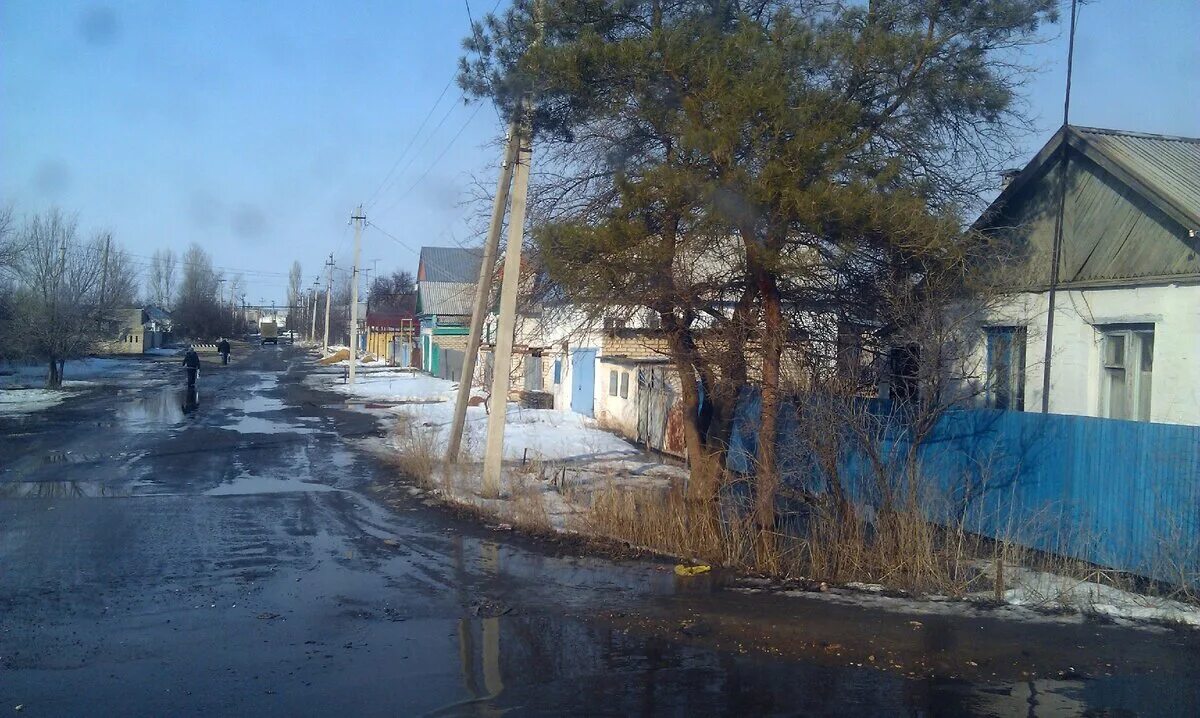 Х морской волгоградская область. Х морской волгоградская область. Хутор нижнегнутов. Дубовка волгоградская область волга. Хутор морской волгоградская область чернышковский.