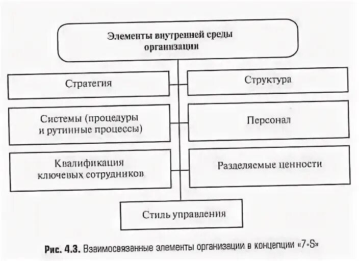 6 элементов организации