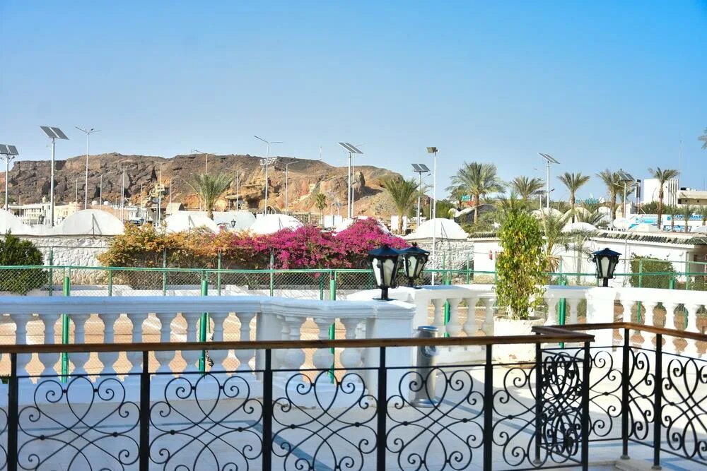 Отель Seti Sharm Шарм-Эль-Шейх. Seti Sharm 4 Шарм-Эль-Шейх. Seti Sharm Palm Beach Resort 4. Египет отель Seti Sharm 5.