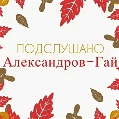 Подслушано в александре. Подслушано александров. подслушано александров владимирская.
