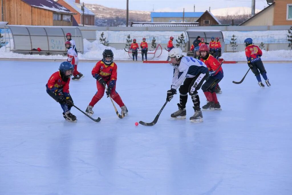 судьи хоккей с мячом хакасия. черногорск хоккей с мячом. федерация хоккея с мячом республики хакасия. хоккей хакасии. саяны абакан хоккей.