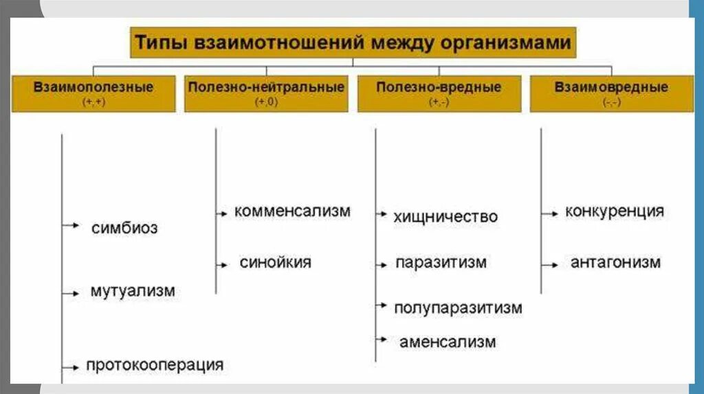 Типы взаимодействия между живыми организмами схема. Типы взаимоотношений организмов схема. Типы взаимодействия между организмами схема. Типы связей и отношений между организмами.