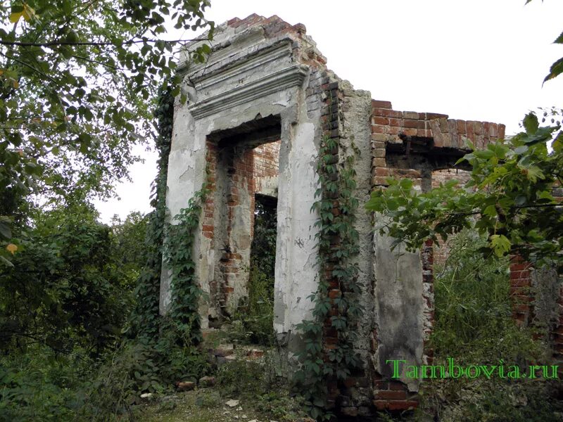 Усадьба караул. Усадьба караул. Имение караул тамбовская губерния. Усадьба чичериных караул тамбовской области. Усадьба чичерина село караул будет ли реставрация.